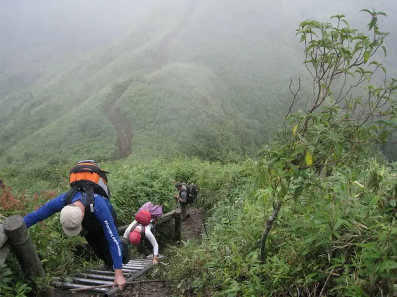 Fansipan Trekking Tours