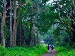 Ninh Binh & Cuc Phuong Tours