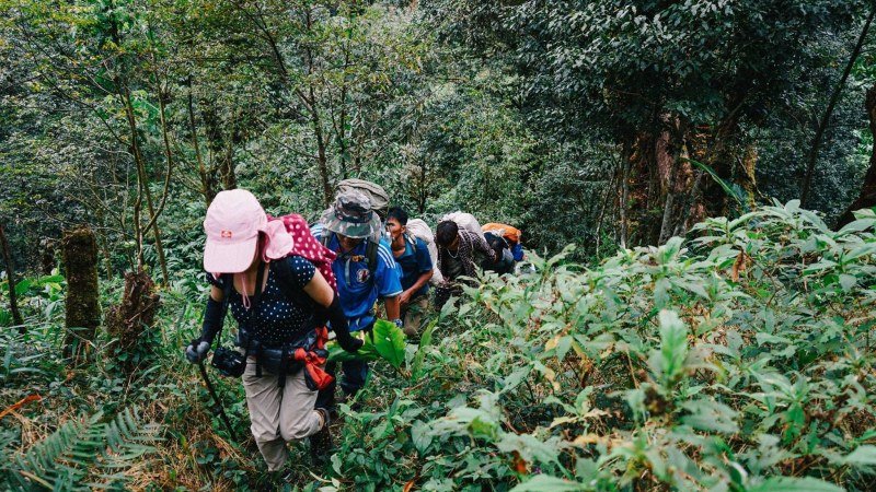 Hiking North Vietnam Tour 8 Days