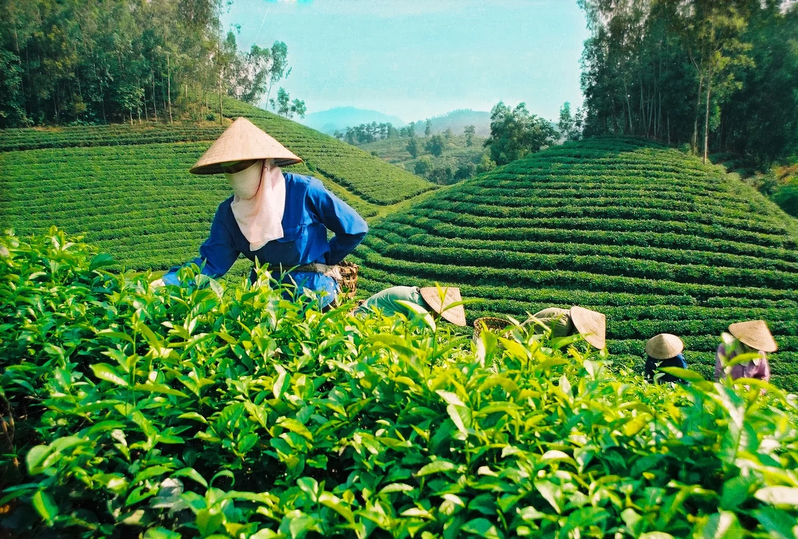 Thai Nguyen Vietnam