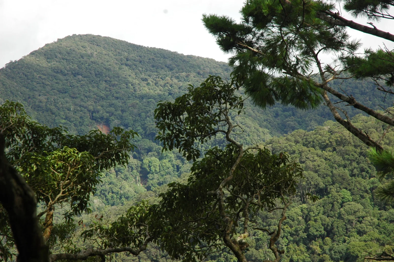 Kon Ka Kinh National Park