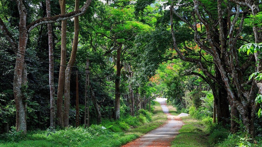 Cuc Phuong National Park – Ninh Binh