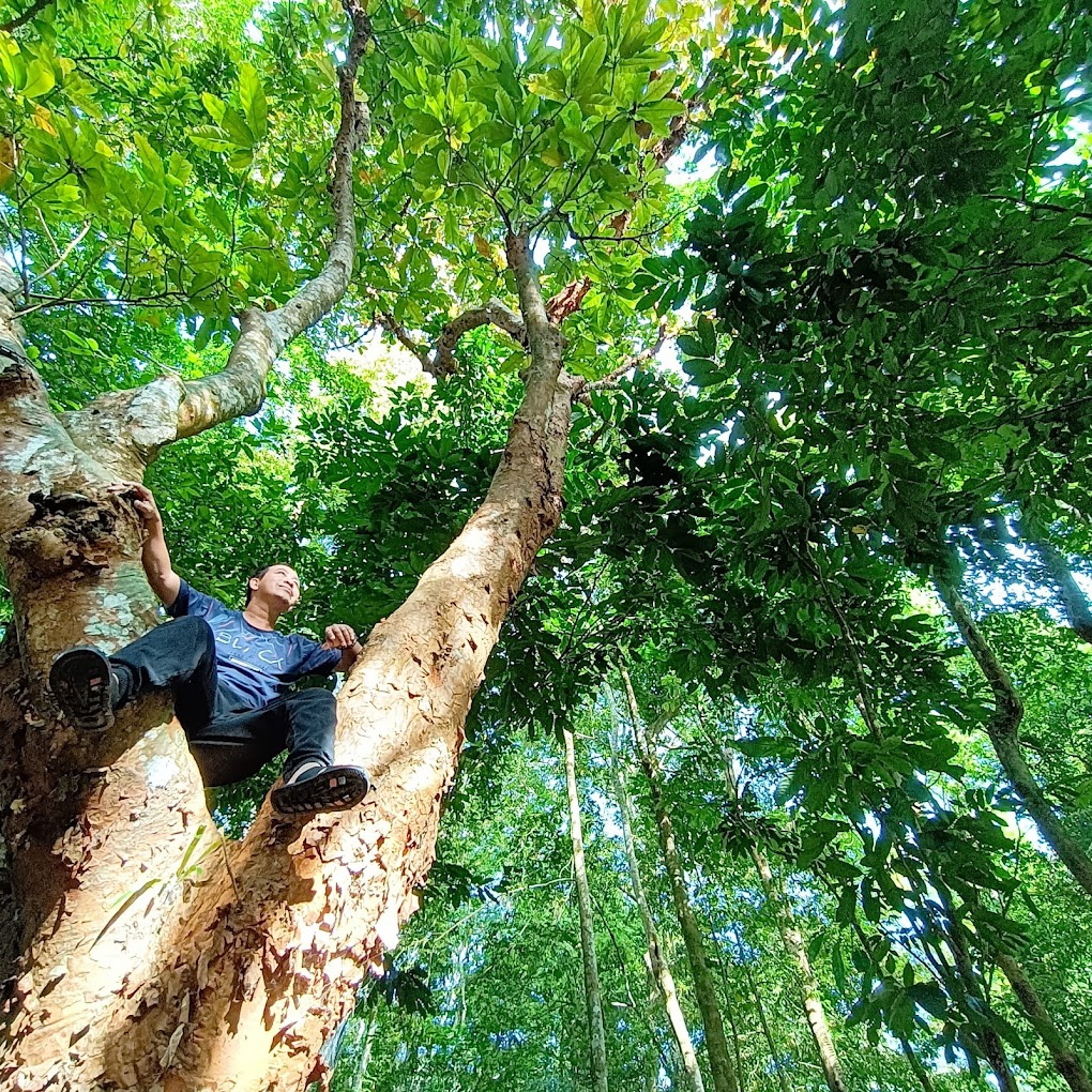 Cuc Phuong National Park Trekking