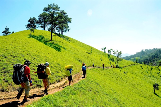 1741588282_best-south-vietnam-trekking-route-ta-nang-phan-dung.jpg